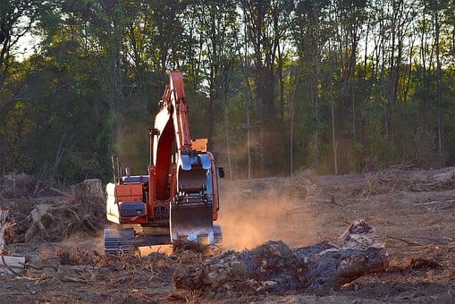Logging Accident Injury Lawyers – West Virginia
