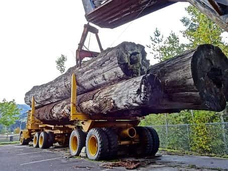 Logging Accident Injury Lawyers in West Virginia