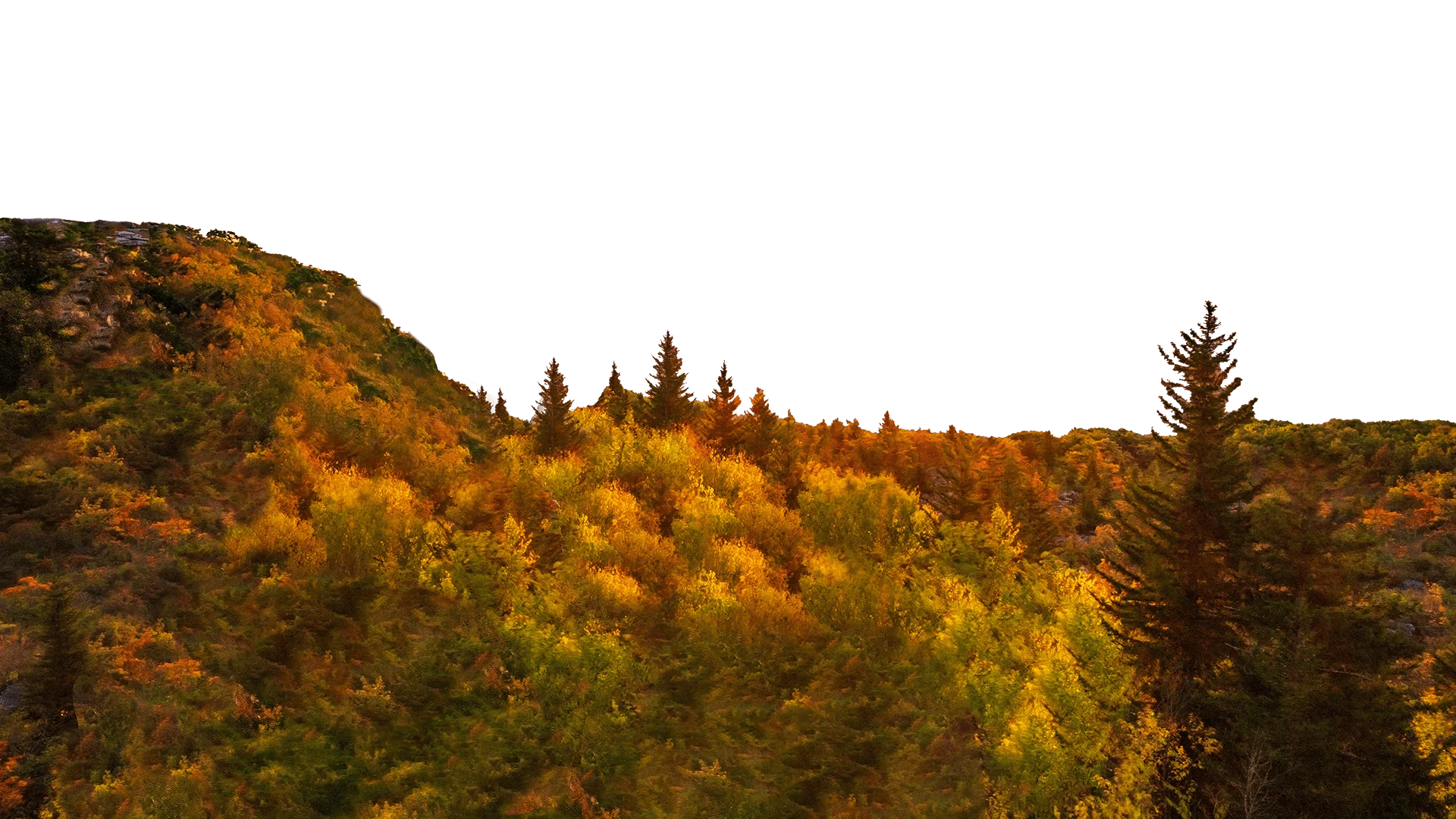 Default description for image two